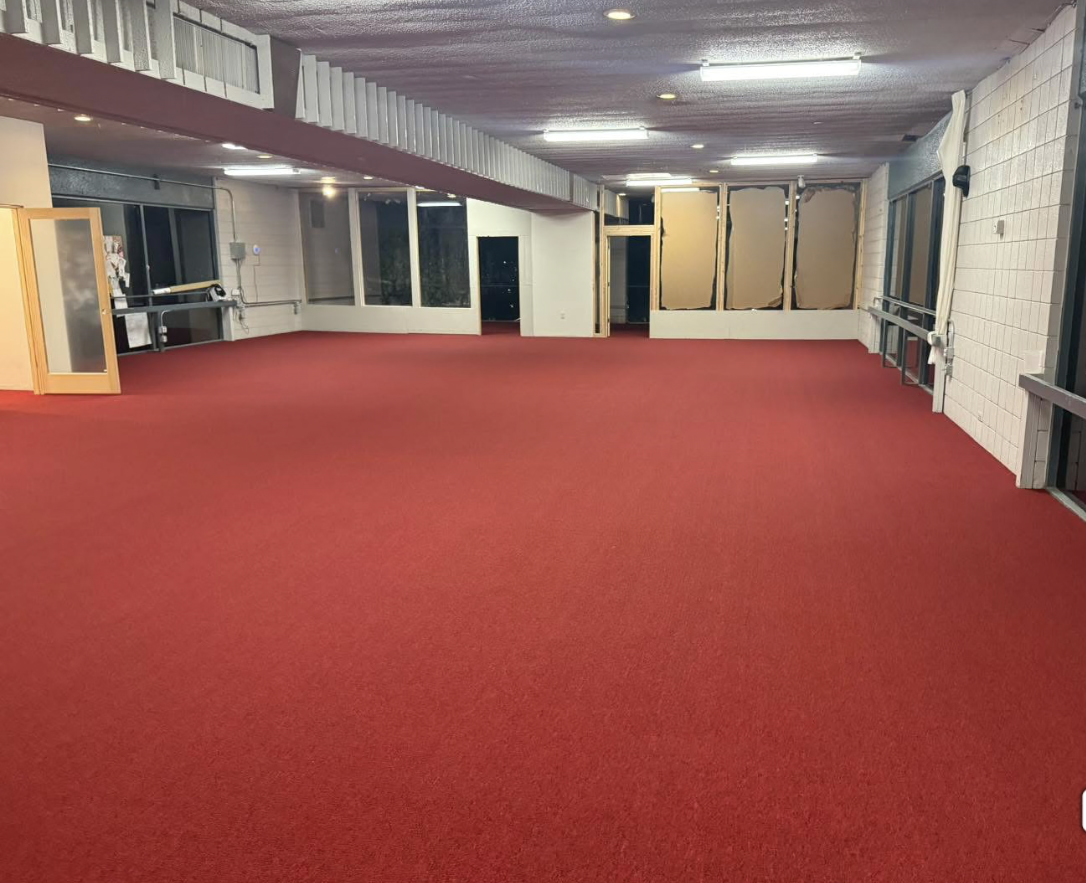Gray carpet in modern kids bedroom in Travis County